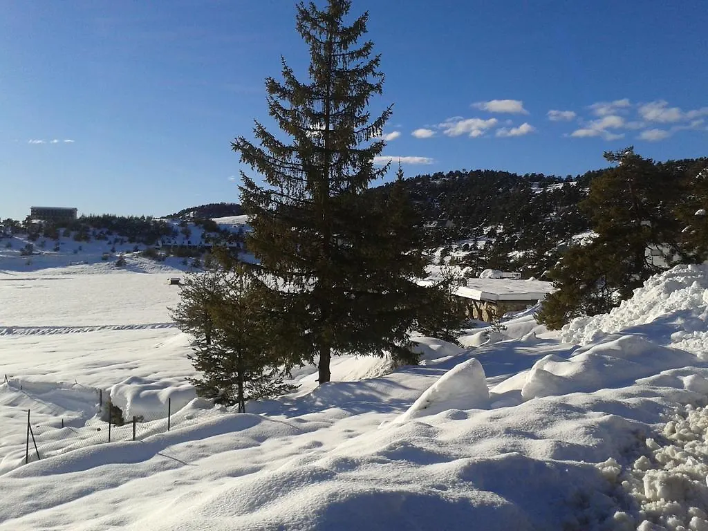 Apartment Face Aux Pistes Greolieres les Neiges